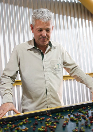 Inovação e visão de futuro fazem parte de cada etapa do processamento de pós-colheita do café