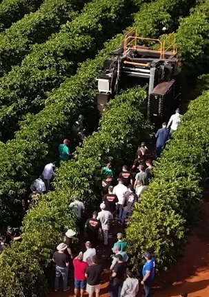 COLHEPLUS em ação no conilon! ☕