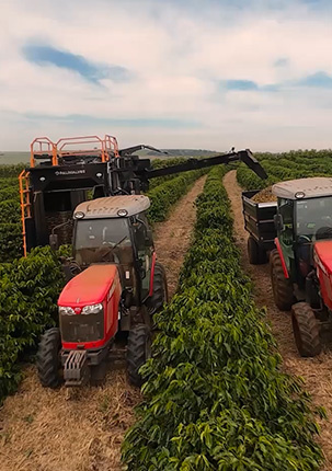 80 hectares para serem colhidos. Uma colheita para entregar eficiência, autonomia e resultado.